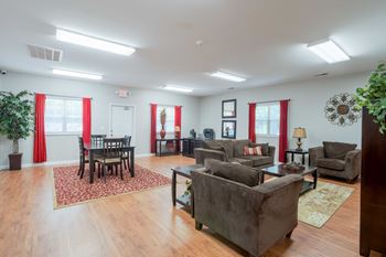 A living room with a grey couch, a wooden floor, and a rug
